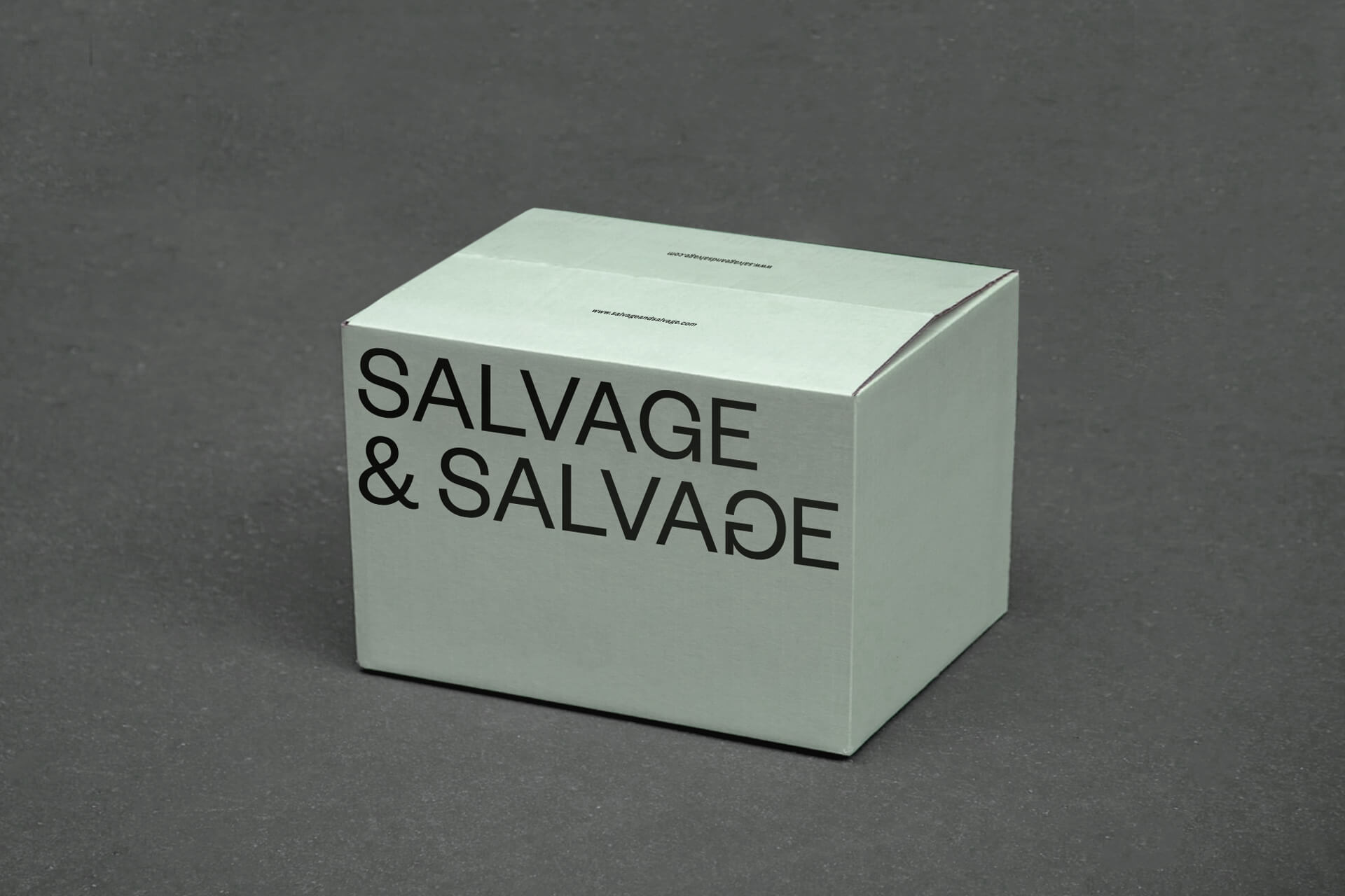 packaging_graphisme_salvage&salvage_04