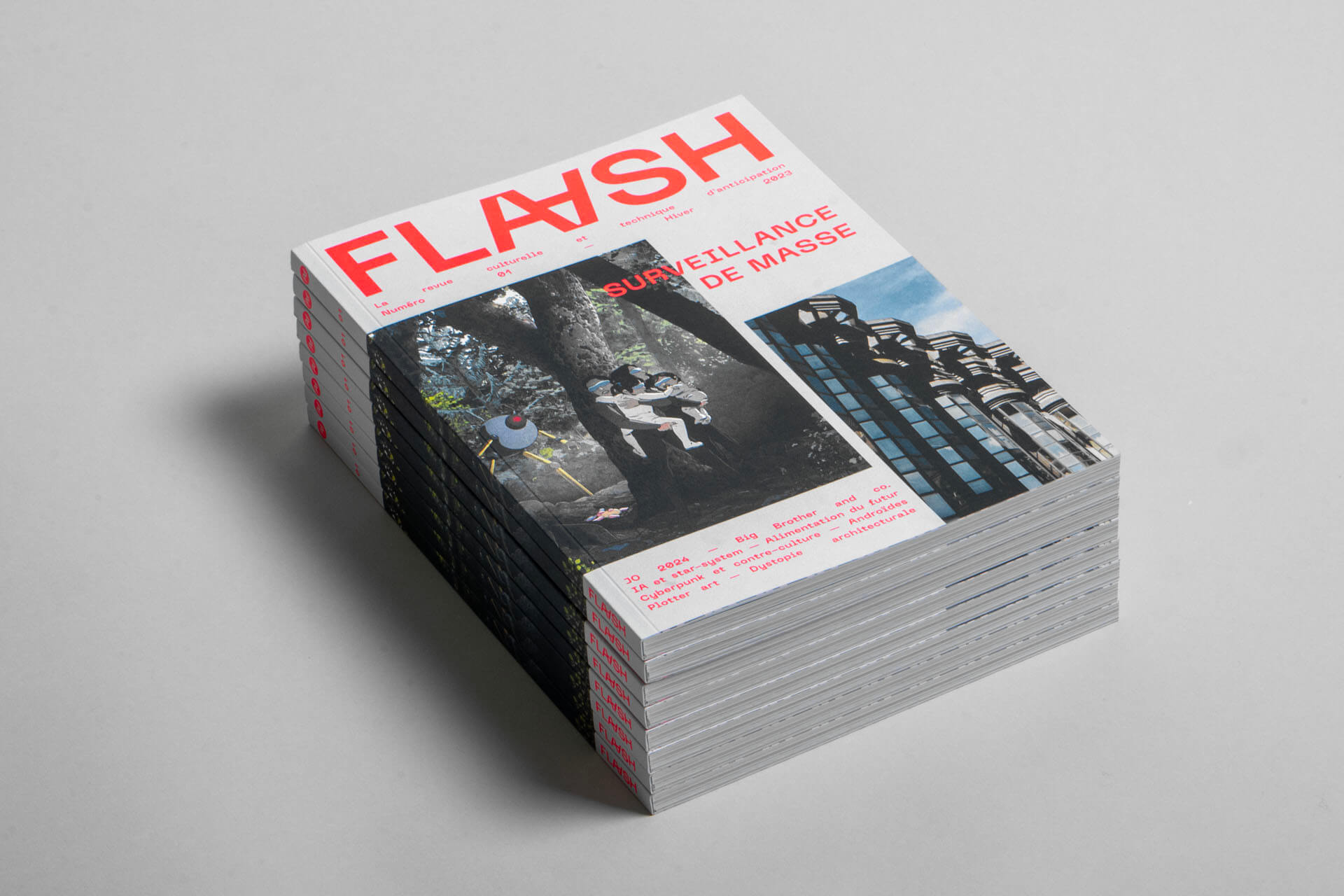 FLAASH_revue_plastac